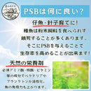 fffcf000d028c000fc0ffffffffff797fb0fffffffffccc0ffc0ffc0ffc0ffc0908e8e9096ab4594409546809c809235