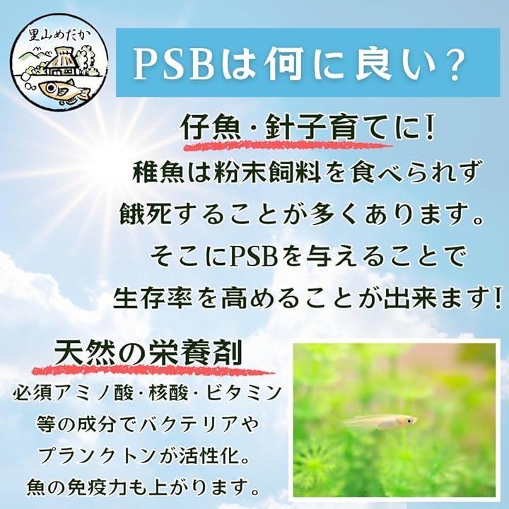 fffcf000d028c000fc0ffffffffff797fb0fffffffffccc0ffc0ffc0ffc0ffc0908e8e9096ab4594409546809c809235