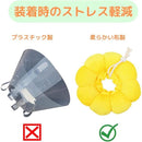 ffffffffc6d5ffffffffffffe7f5e3c5c181c189c088d080c1c1efffeff7e7ff00000000000000000098002300970026