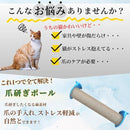 fffff9f6fffffffff2fff3fff277000000000000bbffdfadff8fb3e3efb8bffc8e90908e00130000001000005e1b728c