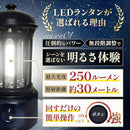 000002000800060007006400ff80fc60fc00ffcfcfff06ff060006f707e107f79dd29d95c79ca1941c22908f9b9b969c