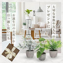 ffff9fffdfdf9ecfffbfbe5ffdfedf8efb409f32bdc8fe2ccaa0a640b649ef4f1c1c1c1c1c002b001c3216151c879a3e