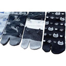 ffffffffa001c00081c0c3e1802c00218001a403ffc0ffe1ffffffffffffffff00000000979297a09a989f9e00000000