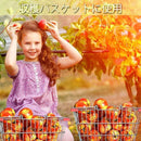 fffff7ebfffde3ef9a0be98140c0598138000c3ebe105e1e5f103c0189ce408c292620192c141f1c30d5150f2be61717