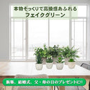 00003fff3fff2d6f3bff3bff3bff3bfb3bff3aa33e410000ffaeffff0000000022222b2b2200000022003d4713000000