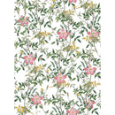 de77df60c381b32a86a9f4c5927dd90f92b97ea8e16ff6e7ba09fbdd27f5035b