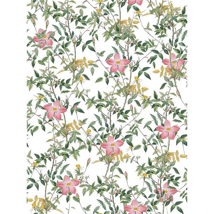 de77df60c381b32a86a9f4c5927dd90f92b97ea8e16ff6e7ba09fbdd27f5035b