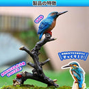 ffff03e0fff70edf421f003f003fe01ff8fff07ff864c03f5033e8810001102186868686311e9609903d1a0b80571d00