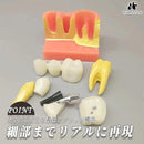 000000000000f810f000fe60f800fff8ffc0ffa0ffd0ed38de748ef29fc2f7ee1a151b1f1e1a18191e1722231e171e24