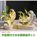 a000e000e000e000e4008282e626466f7e7efffd0f8f3fff1e7fffffffff934eb2abab00b3c70000ab261c1a1a121c17