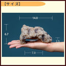 00006fff7fff7fff00000000020003e002b0043818001fff000f00007fff7fff01fefefe008e8d8e008e138e008d900e