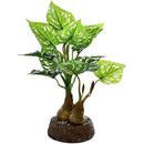 fffffffffc7ff03ff90ff81ff83ffc07f813ff6bff7fff7fff3ffe1ffc1ffe1f00000000000039000000443300001900