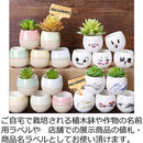 8001800180019401946dee7debffc001e469f66defffea55f357ffffffffffff