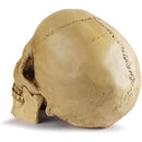 fffffffffffffffffe3ff80ff003e001c007c001c001c003e007ffffffffffff0000000000001a00001b1c190007120b