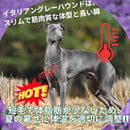 fc0ef407e623c10183008002030402cc02f802c6e081e0876395fff93f716ffcbfbd33c0c12b3432352b00ebdcfc0b14