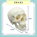 ffff2e3e7fff7fff7bff739f700f700f700b781f790f768f7e0f7f977fbf3fffb393809382002e00822e210082002900