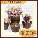 00004cff7fff7dff787f75ff717f70676047784341434c47486778d77f9b7fff0101010101e9096401190ddb01001915