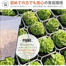 ffffede5ffff81008940fd08f820f802f820ff90fed9e7dcffc17fc6dfa4208400000000b27226300c0e394e0c004934