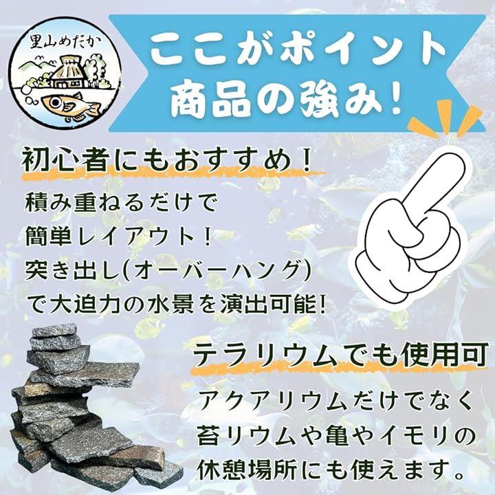 fffff0209901b869f000893ffffffff7fffb8ffdef7fbfffc7419ffc8ec682c5a4a29ea4a58d8c8da4a4a2009f2b1a19