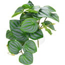 fffffefff877f313f431e42de023e00bc017c01fe07fc07fe03fe47ff87ff87f000000000035497c0076463e00484600