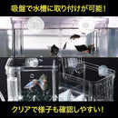 00003c000000ffff5fffdfdfdfffdeef0cb04b62400366182e81b0f80000100000000000f100c900a49eaba2a49393a4