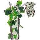 fffff733fc69f82be001e001e07df27ff07ff07ff17ff8bffafffefff0fff0ff00002b000047663a003b220000000000