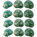 ffffe623c021e621fffbe623c021c621ffffe223f201c601ff77e321e001ee3100000000000000000000d50000005f75