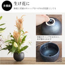 ffff9fff9bdffffffff0fbf8b7c6fb86f380e1ffe1ffeb808580f380f3808000000000002b221c102b161c922b321c9f