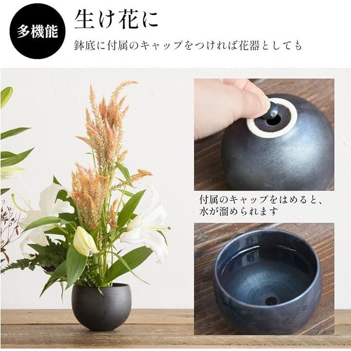 ffff9fff9bdffffffff0fbf8b7c6fb86f380e1ffe1ffeb808580f380f3808000000000002b221c102b161c922b321c9f