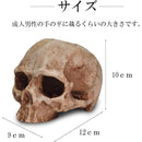 fffffeffffffefeffffff0ffe03fe01fc01fc01fc01fc01fe01fc1ffffffffff000000000000000000140d0000100000