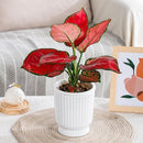 ffcfffcbfe01d081fd81ff1df0bfe041904a030c621effff3ffff5fbd5fff5ff0e070715eb000513c7fc271c12ab9c07