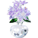 fffffffffffffe1ff87ff81ff80ffc9ff81ff82ffc3ffc5ffe1fff9fffffffff000000000000a0000000c20000009f00