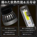 000045587f7f40300070007802181838011c071e3e1e100600004030040008180000000000abab220000ab2b001cab00