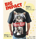 ffffffff84ffe2f7dc18f207f0e7e343e103e003e323f083f287f207f187dc0a1e1e1e1e1e1e89291e9bf29a1e0c3d09