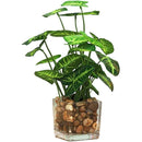 fffffe3ffa1fffbff81feb07ff37f807f007fc0ffe17fc1ffc1ffc1ffc1ffedf0000000000003900003a495700001600