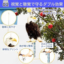 0000097507d33bdb77e1ffe23600fe10ce00ff00f7f0fffcfffdffedfffffdfea9a9a9a99021221b0000092c0000002b