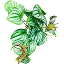 ffffffffc99fd94fd24cd805fe09f901e115e807e087f8fff07ff8fff4ffffff