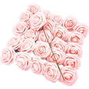 fffffffff9fff1fff043e110e824fbc1fbaffc739e09be0df331f827ff03ffc30000000000f901030000fcf900ff0504