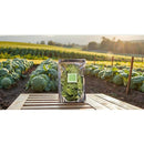 ffffffff0ddf0fcf007c280f1efd10db0081088100c000c000001170273c205e32eb1ca43a3c2a1f6767323a0b17320f