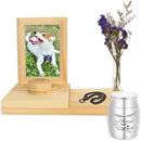 fffffffdfff7e0ede4f1e4f1eafbe2fbe0ffe0fbc0fb800780048000fffcfffc0000000000ce001c00490000001b1a1b