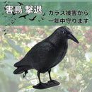 ffff0100252700110431ffcfff87ff0bfc0ff80ff80fe01fe27ffffffebffc3f6e6e6e6e556c6a553922a43b4ea2a23a