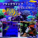 fffff04ec3b7e9f9e7ccbed0cfa33e4e6888828083c10005900804909ec480b87cb49fa66ea9b6acadb1a5a19faed8be