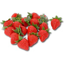 fffffffffffffffffffff33fe00080088101c007e007e02ff03ffcffffffffff000000000000000000010200002f0200