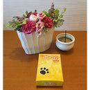 ffffffffffbfff7ff33ff7ff1ffc1fbc1fb80e0001e000400380000000800000