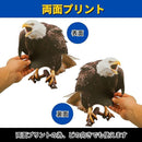 000002900000ed3ff43fe0ffe0ffe06f02df1d837d81ff03fe99fd54fedf0c0098989898001698001617001200008015