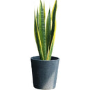 ffffffdfff5ffe3ffe3ffe3ffe3ffe3ffe3ffe3ffe3ffc1ffc1ffe1ffe3ffe3f00000000000032000000460000009200