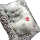 ffffff9f9f9f9fffc0efc1778077a02b40fd85f9879cc003c000e200f001f00300003300126b2b00036b301f0010302b