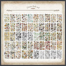 00007fff7f7f7fff7fff7bfd4a8c65c768e159e67fff419377d174af4ccb3fff