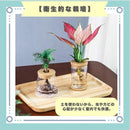 ffffb98effffc00fc037c00fc01fc01fc007c061c7d1ce1ddff1cf83c1ffffffb3939393829ca20e82ae0506821c1c1c