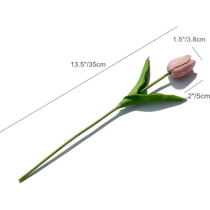 fffffffffffffffdfe69ffe9fde9ffc2ff83ff3fbe7ffcfff9fff7ffefffdfff00000000000000000000007100000000